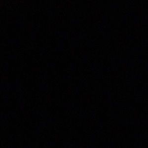 Meet your Posher, Buddy